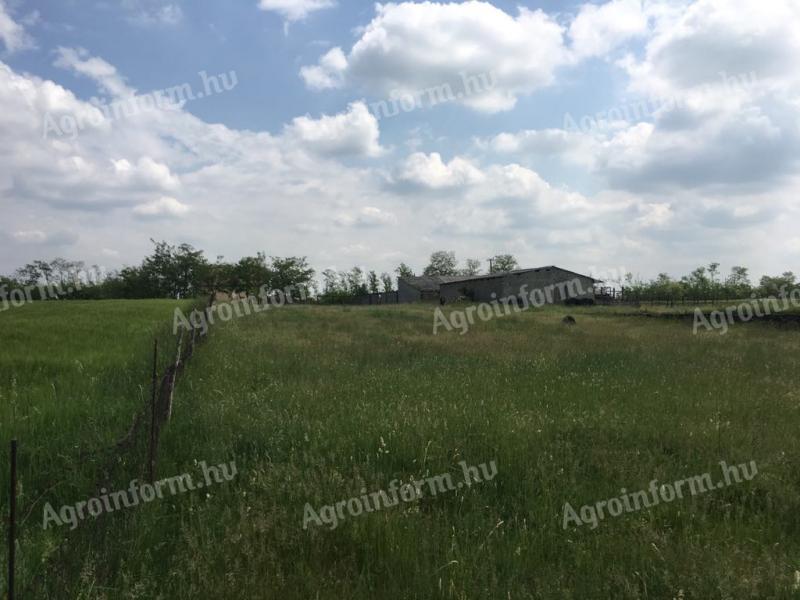 Tanya (tanya épülettel/szántóval)