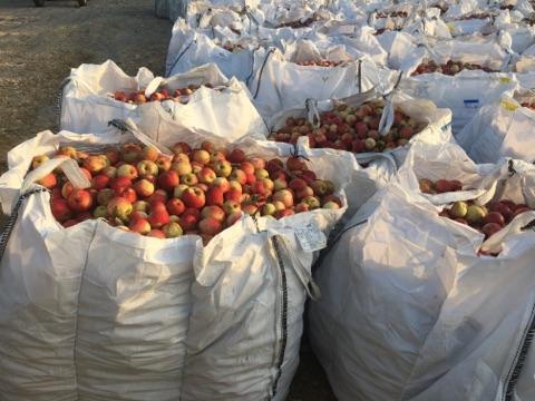 Big bag zsák 30 855 2444 nagykereskedés