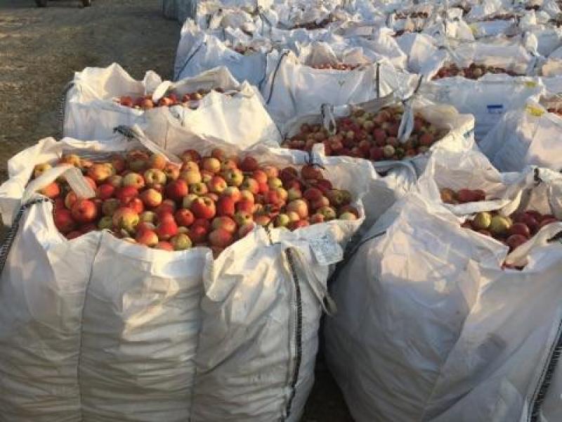 Big bag zsák 30 855 2444 nagykereskedés