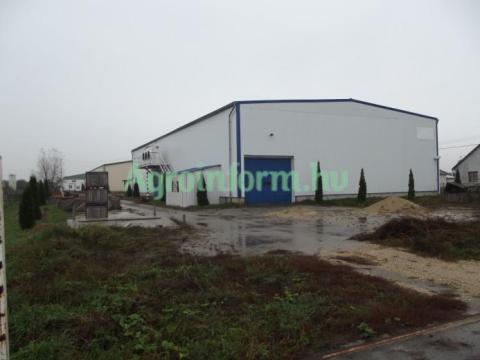 Eladó 4 hektáros mezőgazdasági telep 600 tonnás hűtőházzal, feldolgozóval és gombaházzal Eladó 4 hektáros mezőgazdasági telep 600 tonnás hűtőházzal, feldolgozóval és gombaházzal