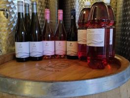 2025-ös évjáratú borok a Mátrai borvidékről