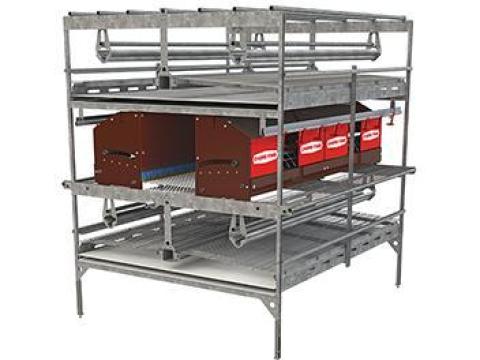 Alternatív tojó tartástechnológia – CHORE TIME