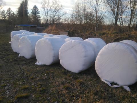 Lucerna szenázs eladó