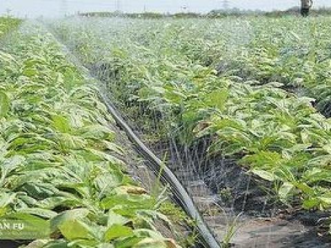 Öntözési megoldások