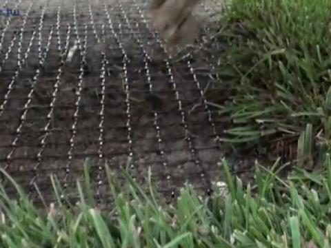 Vakondháló,  Bartomfirács,  Kertirács Vakondháló,  Bartomfirács,  Kertirács