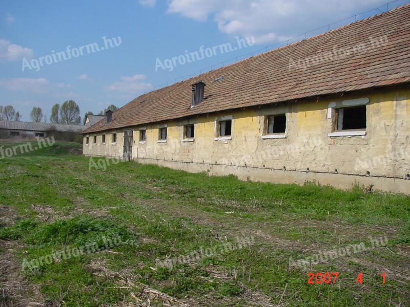 Istálló lakással, 9,2 hektáros területtel bérbeadó