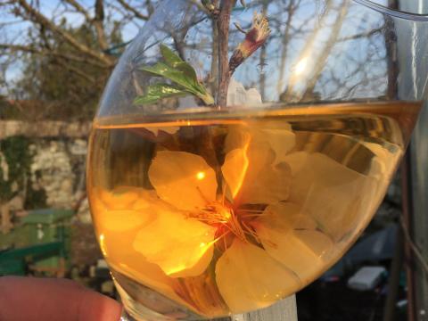 Tokaji bor Tokaji bor