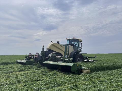 Szálastakarmány bérmunka korszerű gépparkkal