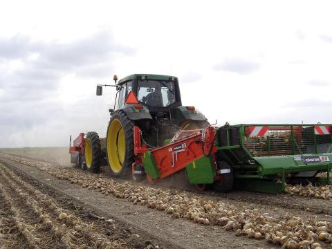 Holaras hagyma-, burgonya rendrerakók, tárházi szártalanítók