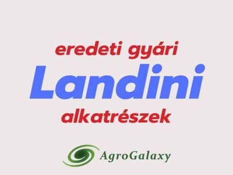 Eredeti gyári LANDINI alkatrészek teljeskörű kínálata Eredeti gyári LANDINI alkatrészek teljeskörű kínálata