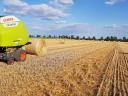 Szalmabála