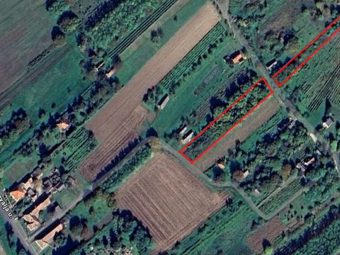 Zártkerti szőlő és gyümölcsös eladó Zártkerti szőlő és gyümölcsös eladó