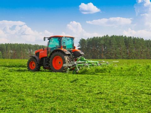 SAMASZ P Rendterítő