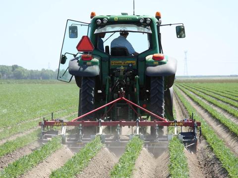 HAK sorközművelő kultivátorok,  kapálógépek széles választéka