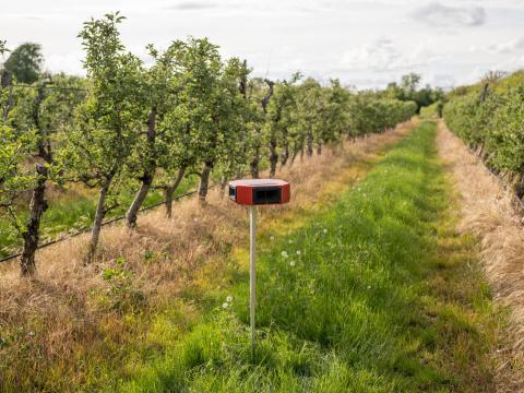 Doxmand SR4- a seregélyek új ellensége Doxmand SR4- a seregélyek új ellensége