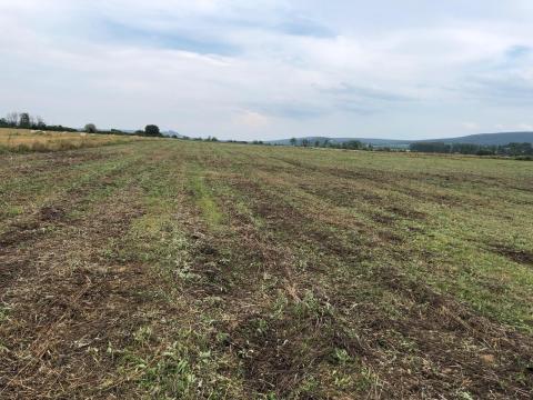 Szántóföld eladó Kővágóörs határában Szántóföld eladó Kővágóörs határában