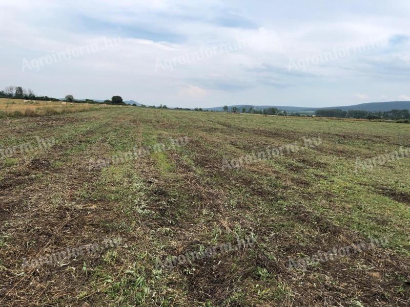 Szántóföld eladó Kővágóörs határában