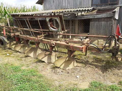 5 fejes Lajta eke eladó 5 fejes Lajta eke eladó