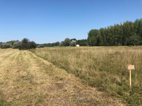 Szántóföld eladó Szántóföld eladó