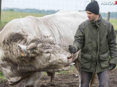 Állatgondozót keresünk Csongrád megyei szarvasmarhatelepre azonnali munkakezdéssel, teljes munkaidőre Állatgondozót keresünk Csongrád megyei szarvasmarhatelepre azonnali munkakezdéssel, teljes munkaidőre