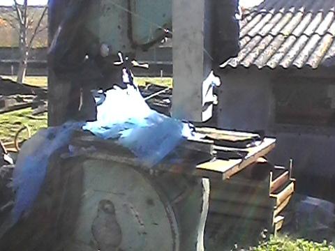 Szalagfűrész Szalagfűrész