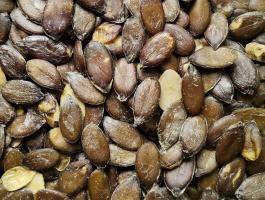 Héjnélküli magyar étkezési tökmag eladó postai utánvéttel