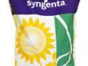 Syngenta napraforgó vetőmag KukoricaVetőmag hu Kft. Hegedűs Zsolt