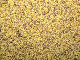 Vöröshere mag,  lóhere mag eladó postai utánvéttel