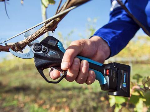 Elektromos kompakt metszőolló - CAMPAGNOLA STARK L 20% akció Elektromos kompakt metszőolló - CAMPAGNOLA STARK L 20% akció