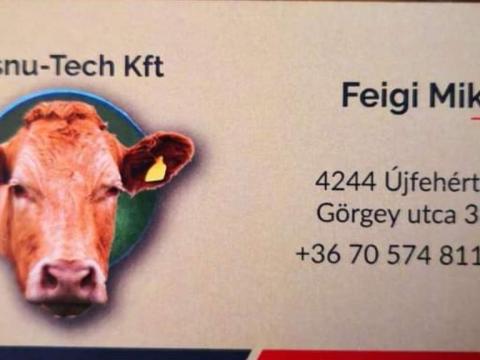 Szarvasmarha felvásárlás egész évben, folyamatosan – üsző, bika, tehén! Keresek limuzin, sarolin, angus borjúkat (200-300 kg), napi legmagasabb áron, fizetés azonnal, helyszínen, szállítás folyamatosan. Érdeklődni: Szarvasmarha felvásárlás egész évben, folyamatosan – üsző, bika, tehén! Keresek limuzin, sarolin, angus borjúkat (200-300 kg), napi legmagasabb áron, fizetés azonnal, helyszínen, szállítás folyamatosan. Érdeklődni:
