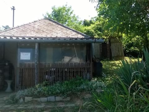 Balatonhoz közel 4000 m² zártkert eladó Balatonhoz közel 4000 m² zártkert eladó