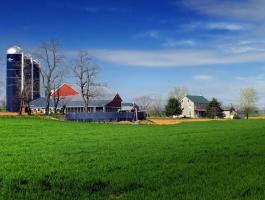 Energy: kaszáló keverék (nedves területekre)