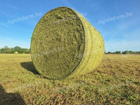 BIO lucerna körbála eladó 150-es