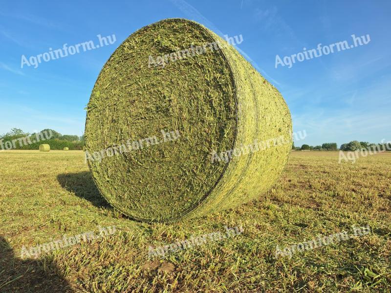BIO lucerna körbála eladó 150-es, 6000 darab