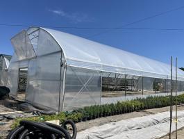 Függőleges oldalú új fóliaház 500 m²