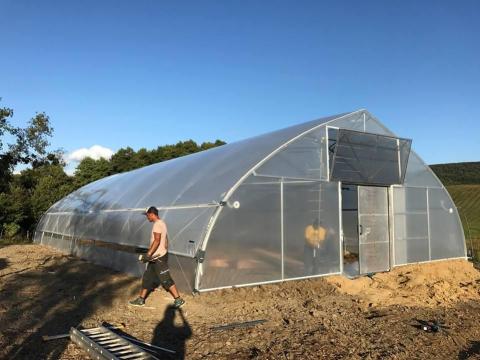 10x50m alapterületű,  masszív,  új gótikus fóliasátor