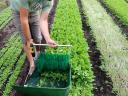 Kézi levélzöldség betakarítógép - Farmers Friend,  Quick-cut Greens Harvester