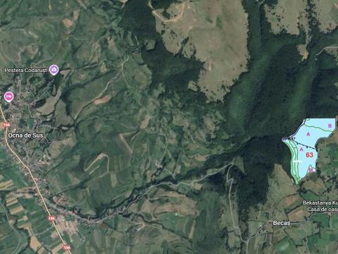 Eladó 23 hektáros erdő Hargita megyében, Erdélyben