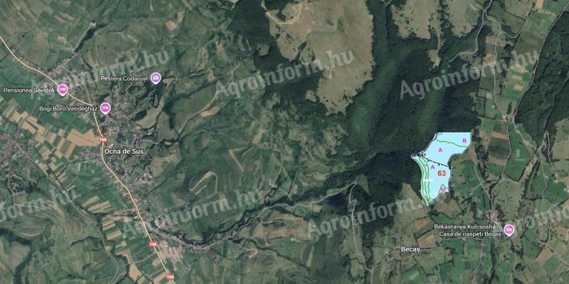 Eladó 23 hektáros erdő Hargita megyében, Erdélyben