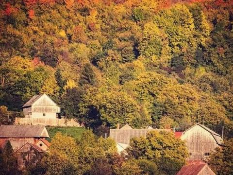 Eladó 23H erdő Erdélyben Eladó 23H erdő Erdélyben