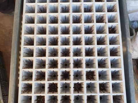 Szaporító tálcák eladók