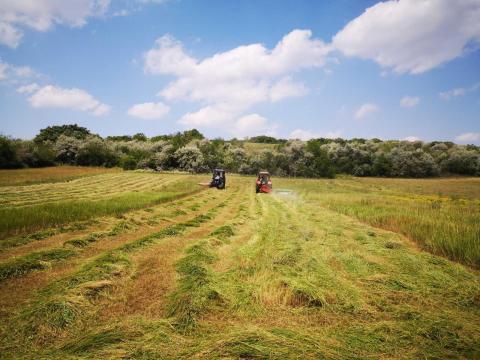 Kaszálás, sodrás, bálázás, bálaszállítás, bérmunka Kaszálás, sodrás, bálázás, bálaszállítás, bérmunka
