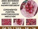 Étkezési minőségű meggy eladó!