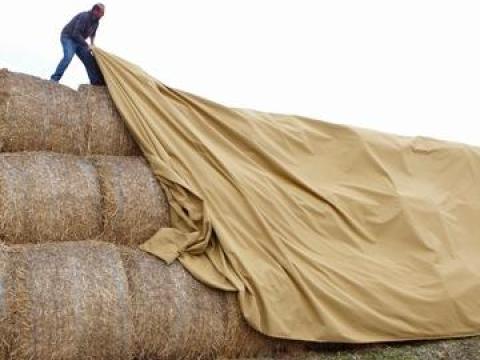 Kazaltakaró,  bálatakaró