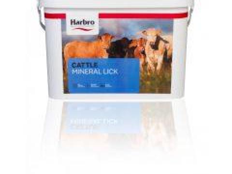 Táplálja állatait ezzel a hatékony módszerrel Táplálja állatait ezzel a hatékony módszerrel