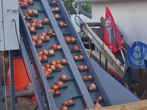 Digitális zsákolómérleg zöldségekhez, automata csomagológép