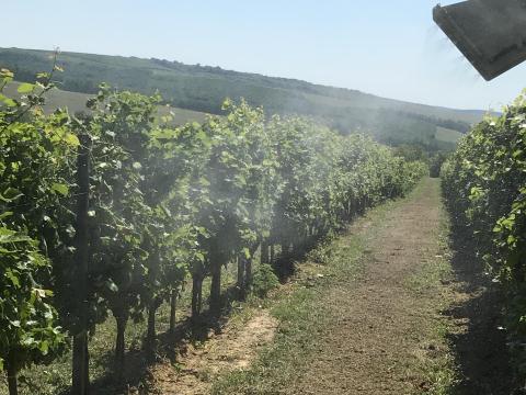 TEYME UNIC Bergerac preciziós permetező gép IGJ TEYME UNIC Bergerac preciziós permetező gép IGJ