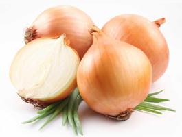 Vesztesség mentes raktározás Mobilsept technológiával