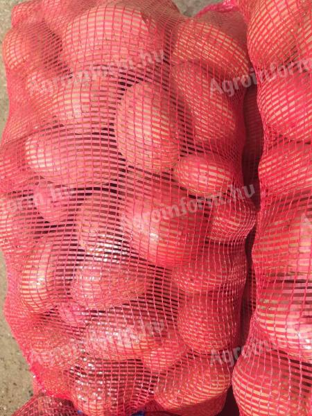 Étkezési és vetőburgonya eladó több fajtában, nagy tételben