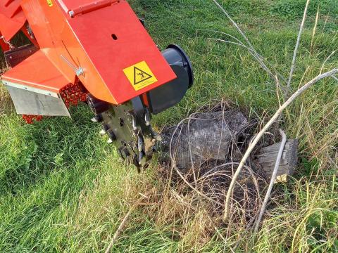 Tuskómarás,  tuskóforgácsolás,  tuskókiszedés,  tuskóeltávolítás,  fatönkmarás